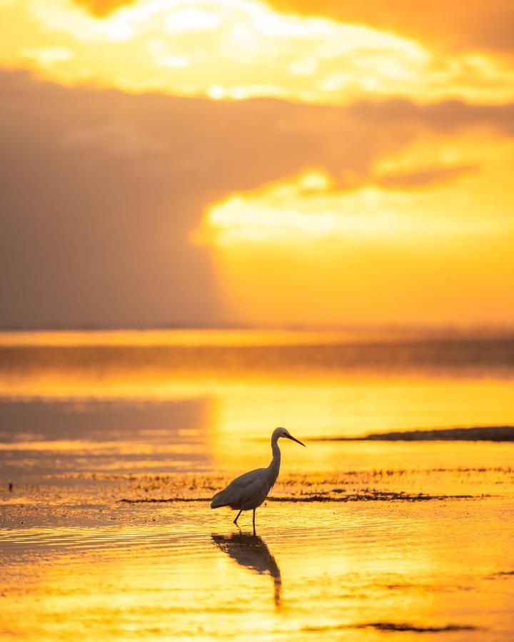 Hakuna Majiwe Beach Lodge Падже Экстерьер фото