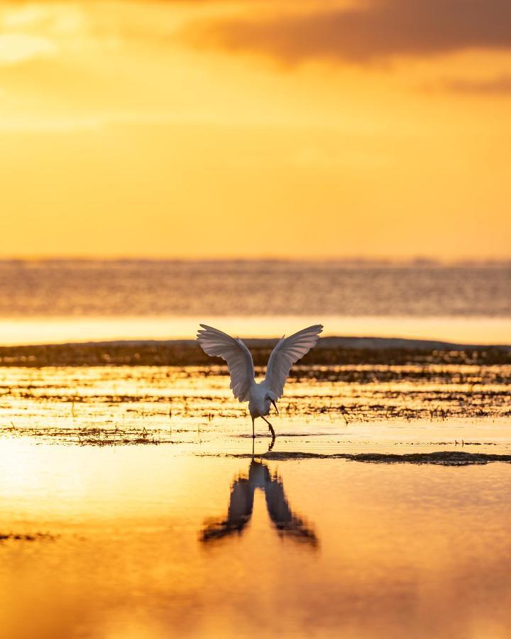 Hakuna Majiwe Beach Lodge Падже Экстерьер фото